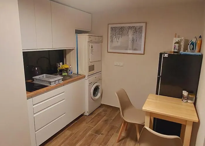 בית הארחה Julia-pokoje W Centrum, Ogrod, Sauna, Grill